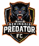 Home Logo
