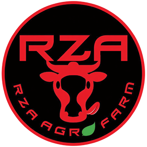 Home Logo